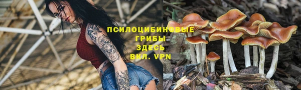 гашиш Аркадак